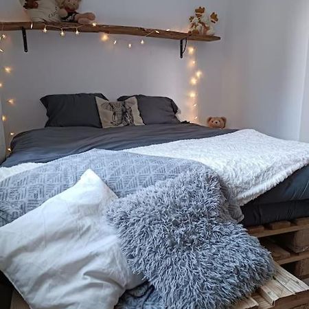 T2 Ultra Cosy En Hypercentre Apartman Tarare Kültér fotó