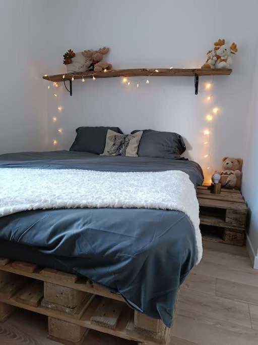 T2 Ultra Cosy En Hypercentre Apartman Tarare Kültér fotó